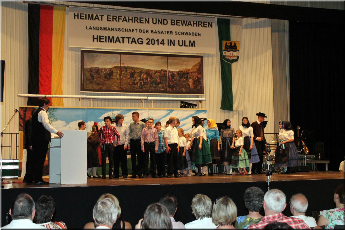 2014 ulm fa8.jpg